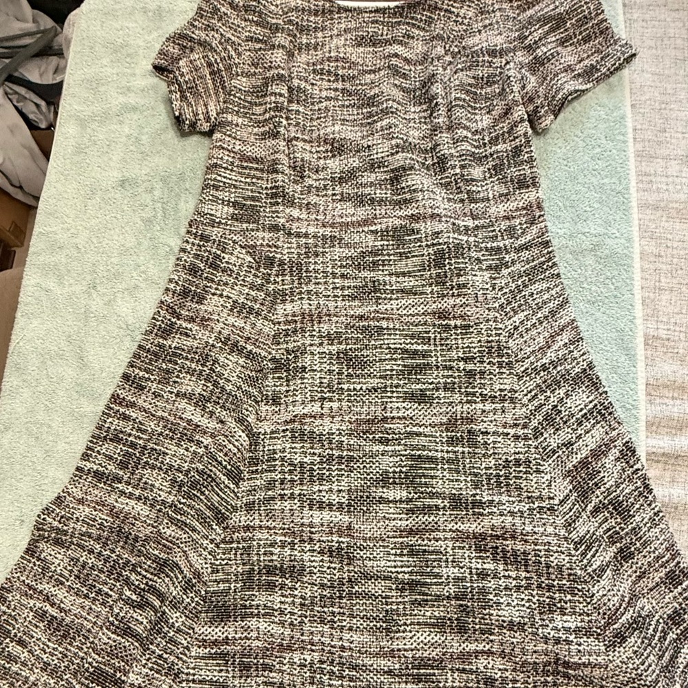 Women's Short Sleeve Knit A-Line Dress in Brown and Cream